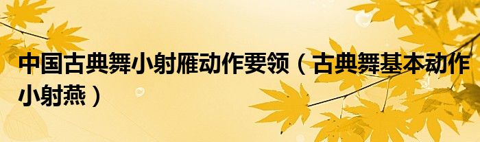 中国古典舞小射雁动作要领（古典舞基本动作小射燕）