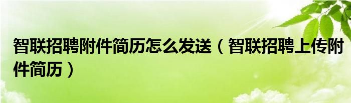 智联招聘附件简历怎么发送（智联招聘上传附件简历）