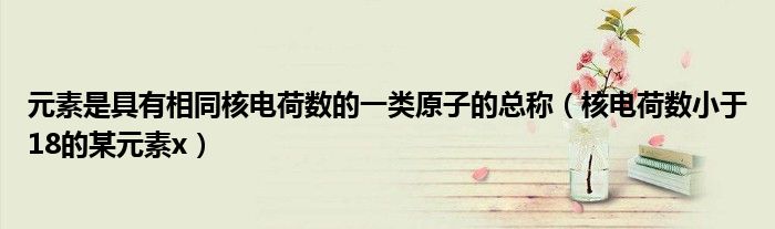 元素是具有相同核电荷数的一类原子的总称（核电荷数小于18的某元素x）
