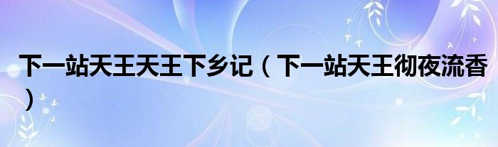 下一站天王天王下乡记（下一站天王彻夜流香）