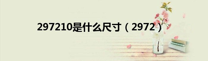 297210是什么尺寸（2972）
