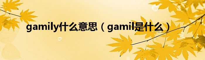 gamily什么意思（gamil是什么）