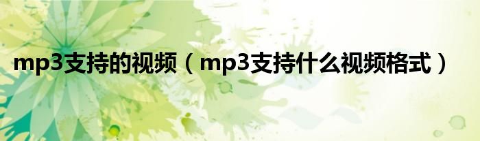 mp3支持的视频（mp3支持什么视频格式）