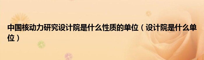 中国核动力研究设计院是什么性质的单位（设计院是什么单位）