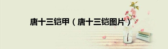 唐十三铠甲（唐十三铠图片）