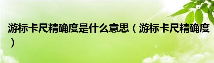 游标卡尺精确度是什么意思（游标卡尺精确度）