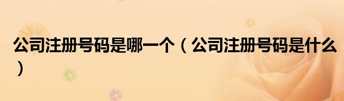公司注册号码是哪一个（公司注册号码是什么）