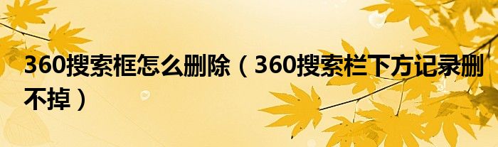 360搜索框怎么删除（360搜索栏下方记录删不掉）