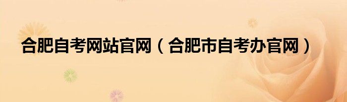 合肥自考网站官网（合肥市自考办官网）