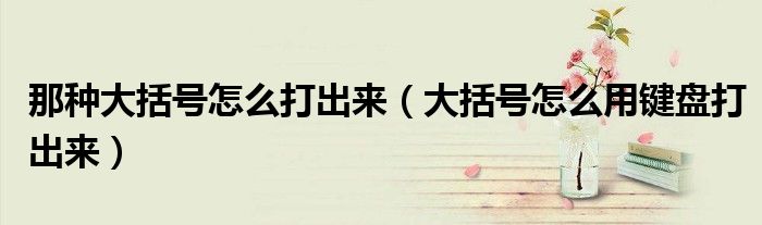 那种大括号怎么打出来（大括号怎么用键盘打出来）