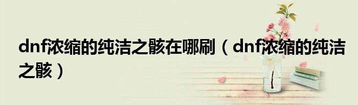 dnf浓缩的纯洁之骸在哪刷（dnf浓缩的纯洁之骸）