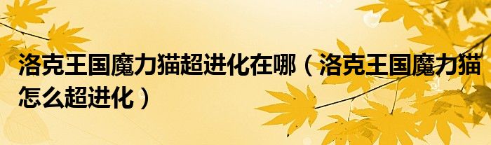 洛克王国魔力猫超进化在哪（洛克王国魔力猫怎么超进化）