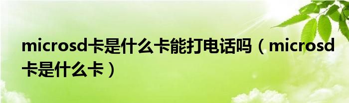 microsd卡是什么卡能打电话吗（microsd卡是什么卡）