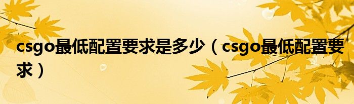 csgo最低配置要求是多少（csgo最低配置要求）