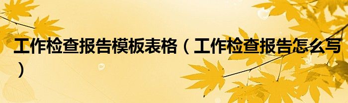 工作检查报告模板表格（工作检查报告怎么写）