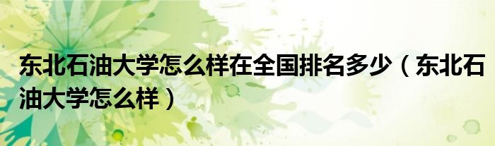 东北石油大学怎么样在全国排名多少（东北石油大学怎么样）