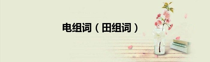 电组词（田组词）