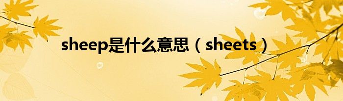 sheep是什么意思（sheets）