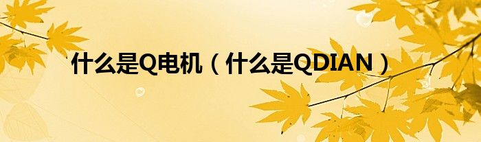 什么是Q电机（什么是QDIAN）