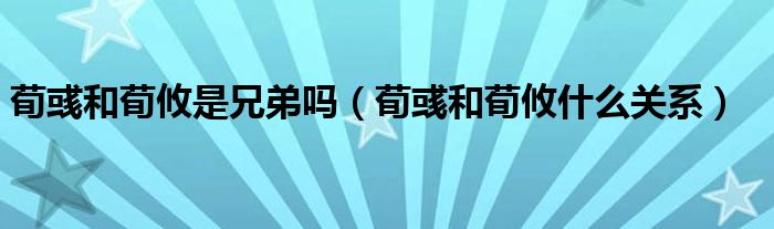 荀彧和荀攸是兄弟吗（荀彧和荀攸什么关系）