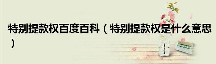 特别提款权百度百科（特别提款权是什么意思）