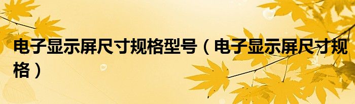电子显示屏尺寸规格型号（电子显示屏尺寸规格）