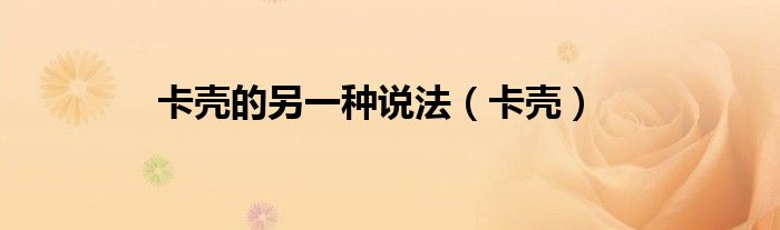卡壳的另一种说法（卡壳）