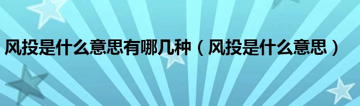 风投是什么意思有哪几种（风投是什么意思）