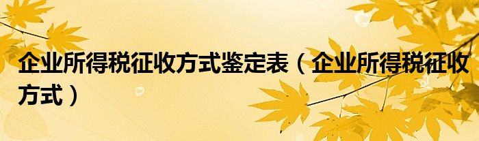 企业所得税征收方式鉴定表（企业所得税征收方式）