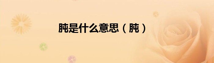 肫是什么意思（肫）