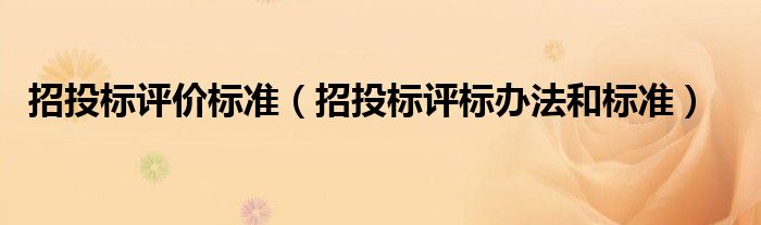 招投标评价标准（招投标评标办法和标准）