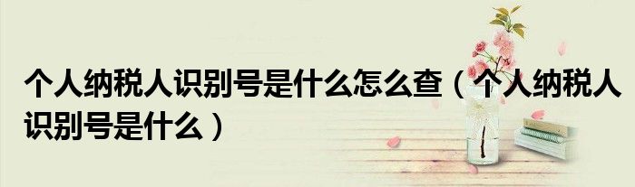 个人纳税人识别号是什么怎么查（个人纳税人识别号是什么）