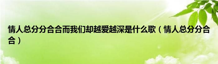 情人总分分合合而我们却越爱越深是什么歌（情人总分分合合）