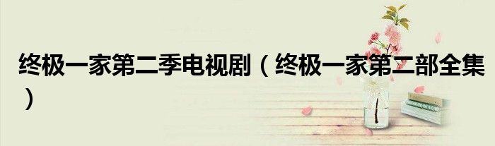 终极一家第二季电视剧（终极一家第二部全集）
