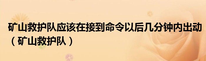 矿山救护队应该在接到命令以后几分钟内出动（矿山救护队）
