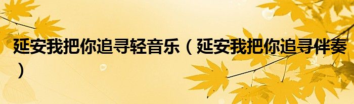 延安我把你追寻轻音乐（延安我把你追寻伴奏）