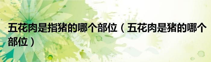 五花肉是指猪的哪个部位（五花肉是猪的哪个部位）