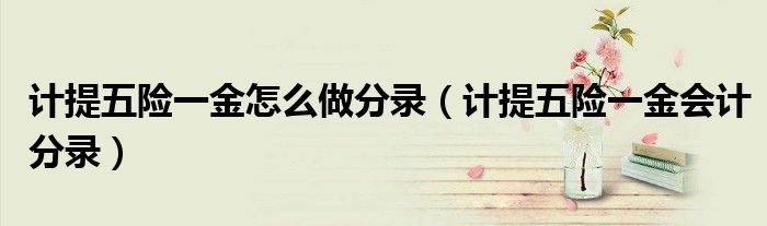 计提五险一金怎么做分录（计提五险一金会计分录）