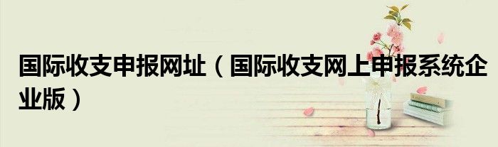 国际收支申报网址（国际收支网上申报系统企业版）