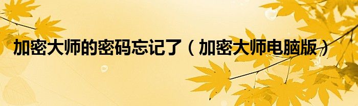 加密大师的密码忘记了（加密大师电脑版）