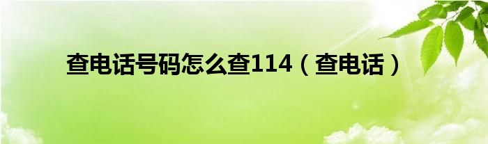 查电话号码怎么查114（查电话）