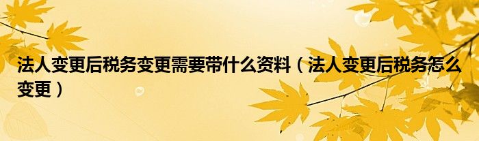 法人变更后税务变更需要带什么资料（法人变更后税务怎么变更）