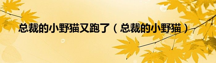 总裁的小野猫又跑了（总裁的小野猫）