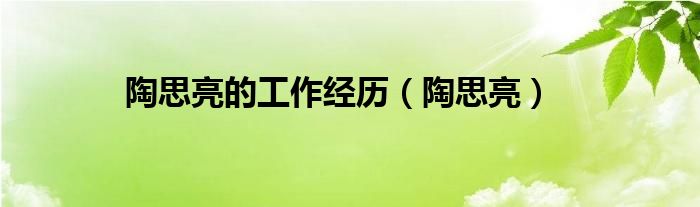 陶思亮的工作经历（陶思亮）