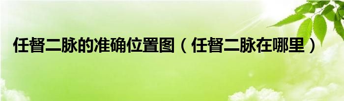 任督二脉的准确位置图（任督二脉在哪里）
