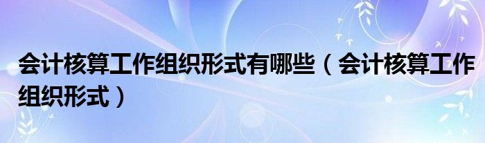 会计核算工作组织形式有哪些（会计核算工作组织形式）