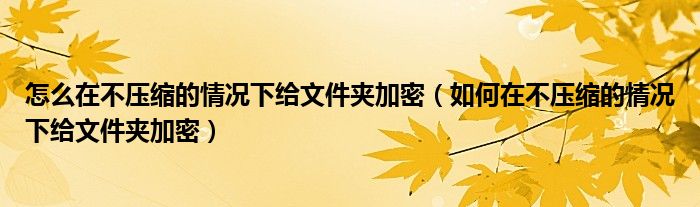 怎么在不压缩的情况下给文件夹加密（如何在不压缩的情况下给文件夹加密）