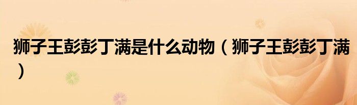狮子王彭彭丁满是什么动物（狮子王彭彭丁满）