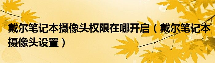 戴尔笔记本摄像头权限在哪开启（戴尔笔记本摄像头设置）