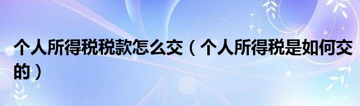个人所得税税款怎么交（个人所得税是如何交的）